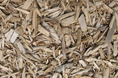 biomass boilers Dalbeattie